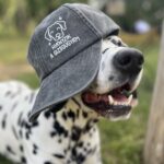 hiányzik a gizsgúgyám vintage sapi