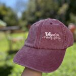 ohana baseball sapka